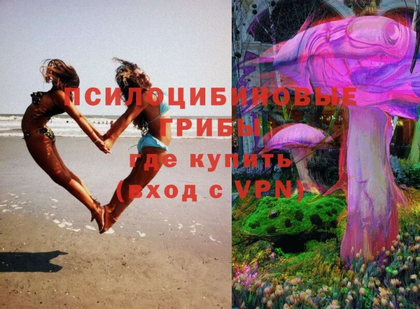 бошки Алзамай