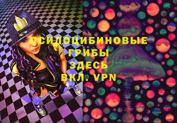 бошки Алзамай