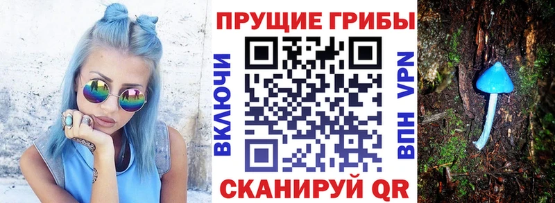 что такое наркотик  Зверево  Галлюциногенные грибы GOLDEN TEACHER 